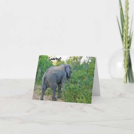 Farewell South Africa Elephant Card Bedankkaart (Voorkant)