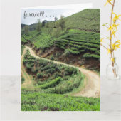 farewell volgt grote kaart (Gele Bloem)