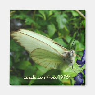 Farfalla Bianca Magneet