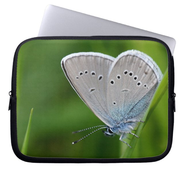 Farfalla laptophoes laptop sleeve (Voorkant)
