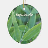 Fargesia murielae Bamboo plant voor tuinbouwcadeau Keramisch Ornament (Links)