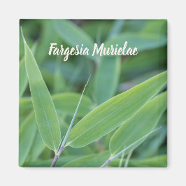 Fargesia murielae Bamboo plant voor tuinbouwcadeau Magneet