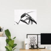 Fargesia sp. Bamboe in zwart-wit Poster (Thuiskantoor)