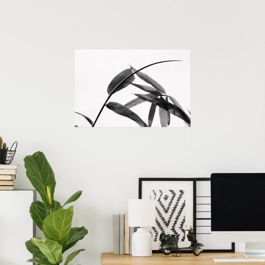 Fargesia sp. Bamboe in zwart-wit Poster (Thuiskantoor)