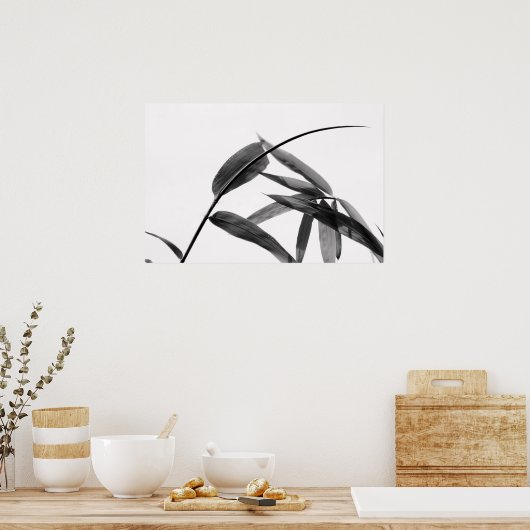 Fargesia sp. Bamboe in zwart-wit Poster (Keuken)