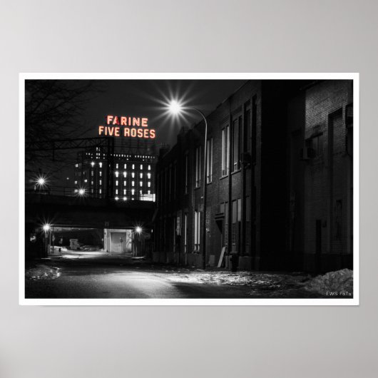 Farine Vijf Rozen Poster (Voorkant)