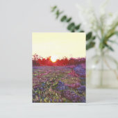 Farley sunset 2012 briefkaart (Staand voorkant)