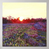 Farley sunset 2012 poster (Voorkant)