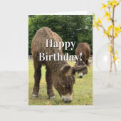 Farm Animal Donkey Cute Barnyard Funny Birthday  Kaart (Gele Bloem)