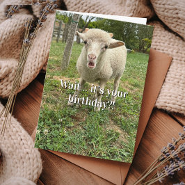 Farm Animal Sheep Cute Barnyard Funny Birthday  Kaart