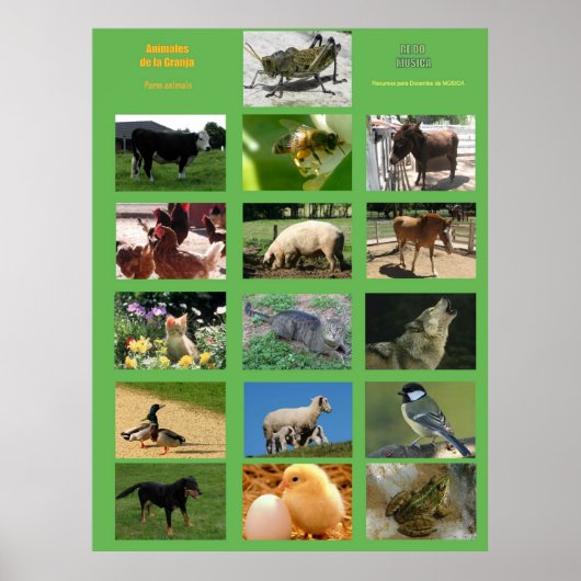 Farm Animals Poster .Animales de la granja (Voorkant)