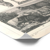 Farm Animals Print 1800's Cows Sheep Horse Pigs (Hoek)