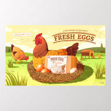 Farm Fresh Organic Eggs Grocery Market