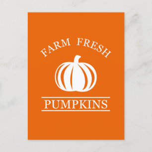 Farm fresh pumpkins briefkaart