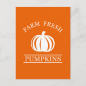 Farm fresh pumpkins briefkaart (Voorkant)