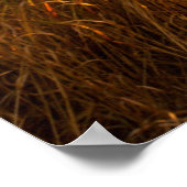 Farm House And Rail Fence In Grand Teton Poster (Hoek)