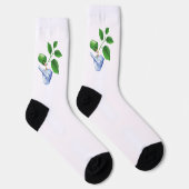 Farmacie Sokken (Rechts)