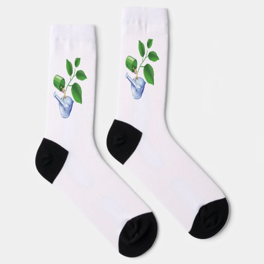 Farmacie Sokken (Rechts)