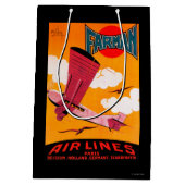 Farman Brothers Airlines F-170 Monoplane Poster Medium Cadeauzakje (Achterkant)