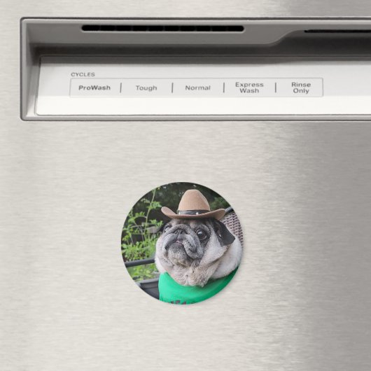 Farmer Pickles Magnet (Insitu (Vaatwasser))