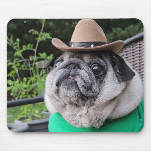 Farmer Pickles Muismat