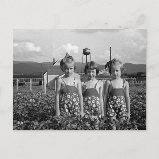 Farmer's Daughters, 1939 Briefkaart (Voorkant)