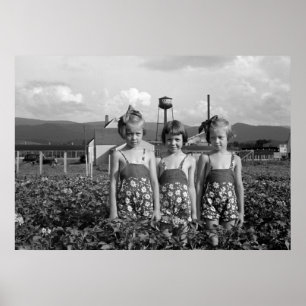 Farmers Daughters, 1939 Poster