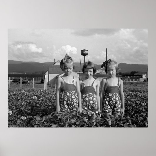 Farmers Daughters, 1939 Poster (Voorkant)