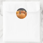 Farmer's Market, Autumn Harvest Pumpkins Ronde Sticker (Tas)