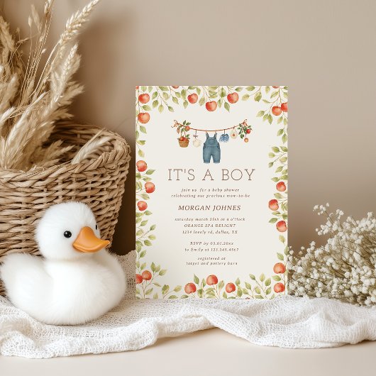 Farmhouse Baby Clothesline Baby Shower Kaart