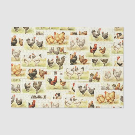 Farmhouse Chicken Tissue- Decoupage of Wrap Tissuepapier (Voorkant)