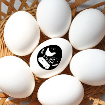 Farmhouse Egg Carton Chicken Boerderij Verse Orgel