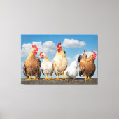 Farmhouse Kippen op Cloudy Summer Day Canvas P (Voorkant)