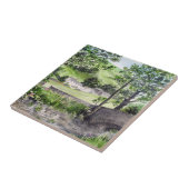 Farmhouse nabij Thirlmere, Lake District, Engeland Tegeltje (Zijkant)