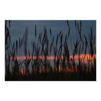 Farming Sunset Perfect Poster