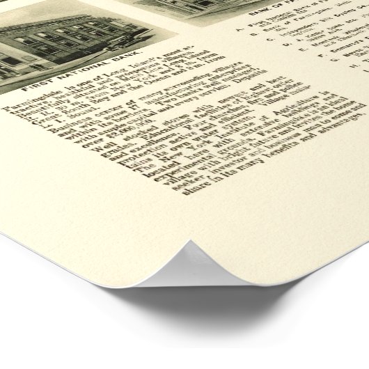 Farmingdale, NY Panoramic Map - 1925 Poster (Hoek)