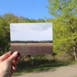 Farmland Midwest Sky MidWestern Skies Natuur Trees Briefkaart
