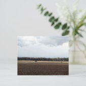 Farmland Midwest Sky MidWestern Skies Natuur Trees Briefkaart (Staand voorkant)