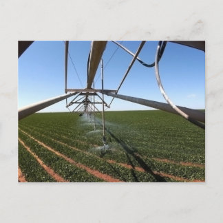 Farmland Postcard Briefkaart