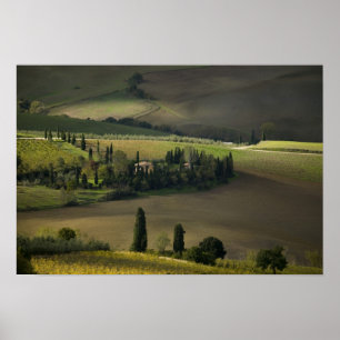 Farmland rond Montepulciano, Toscane, Italië Poster