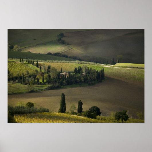 Farmland rond Montepulciano, Toscane, Italië Poster (Voorkant)