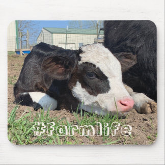 #farmlife Muismat