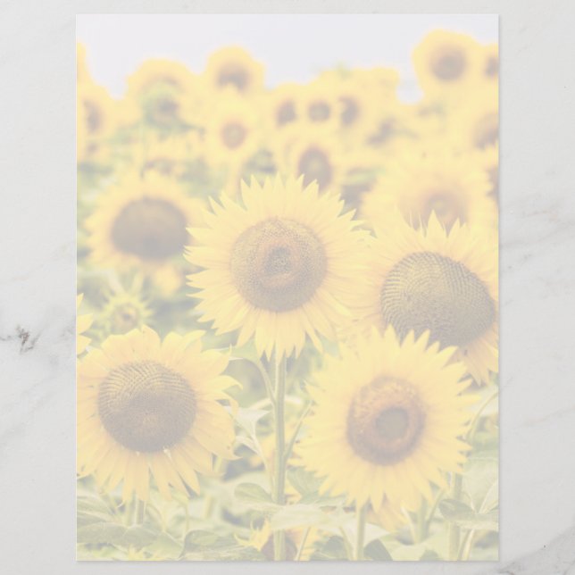 Farms | A Sunflower Field (Voorkant)