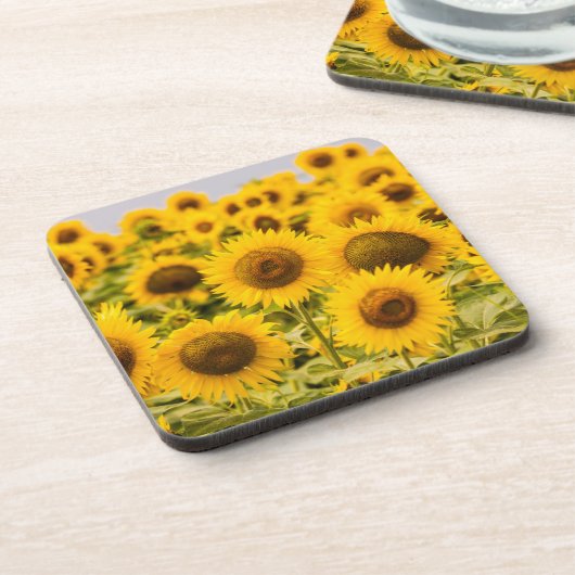 Farms | A Sunflower Field Bier Onderzetter (Linkerzijde)