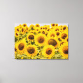Farms | A Sunflower Field Canvas Afdruk (Voorkant)
