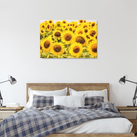 Farms | A Sunflower Field Canvas Afdruk (Insitu (Slaapkamer))