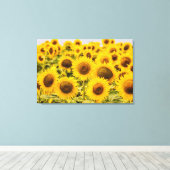 Farms | A Sunflower Field Canvas Afdruk (Insitu (Houten vloer))