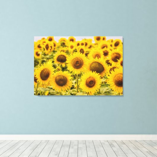 Farms | A Sunflower Field Canvas Afdruk (Insitu (Houten vloer))