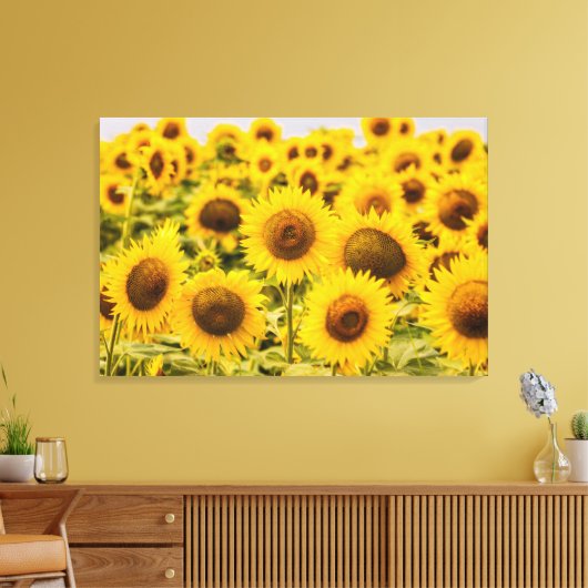 Farms | A Sunflower Field Canvas Afdruk (Insitu (Woonkamer))