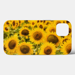 Farms A Sunflower Field Case-Mate iPhone Case